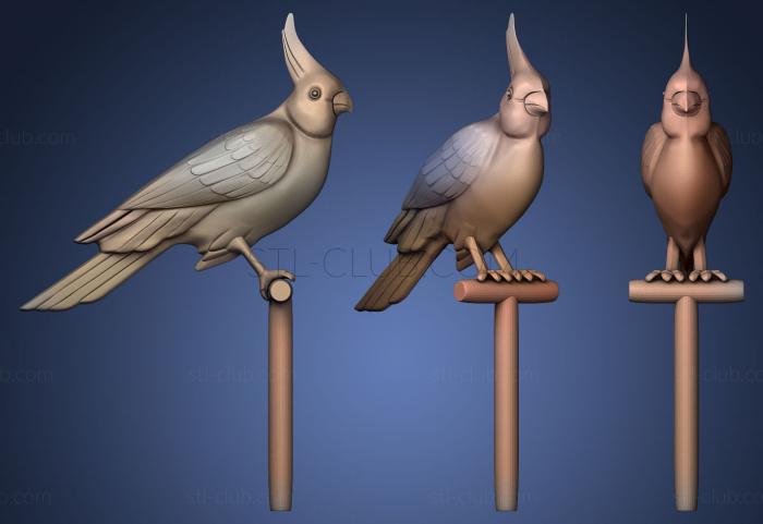 3D model Parrot on a perch (STL)